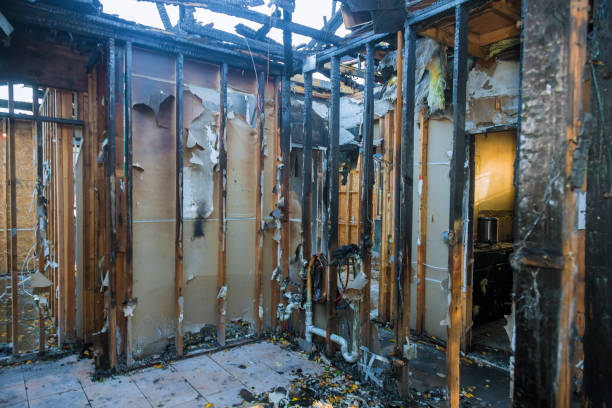 Professional Odor Removal technician working in Brownton, MN