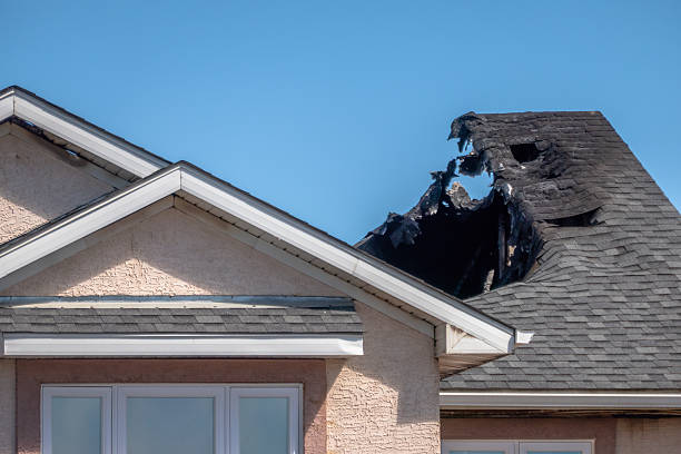 Top rated local Odor Removal specialists in Brownton, MN